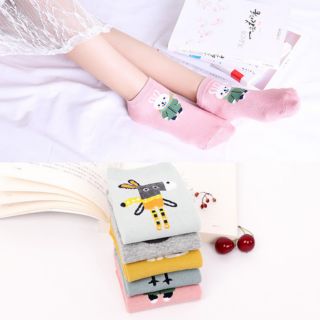 Set 5 đôi tất nữ cổ vừa