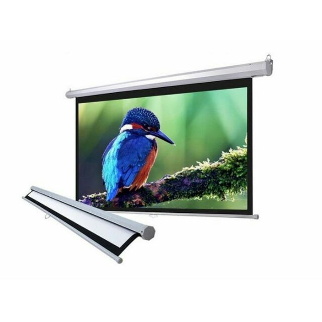 Màn Chiếu Treo Tường 70 INCH DALITE