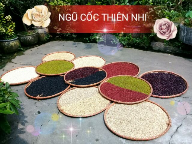 Hạt nghiền loại đặc biệt 20 loại hạt | BigBuy360 - bigbuy360.vn