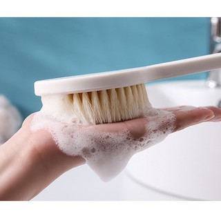 Cây Bàn Chải Cọ Lưng Siêu Mềm