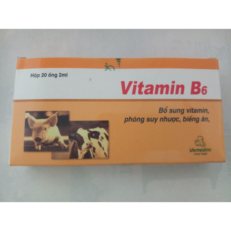 Vitamin B6 hộp 20 ống*2ml dạng tiêm