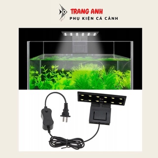 Đèn led bể cá jeneca x3, đèn led kẹp mini cho hồ thủy sinh