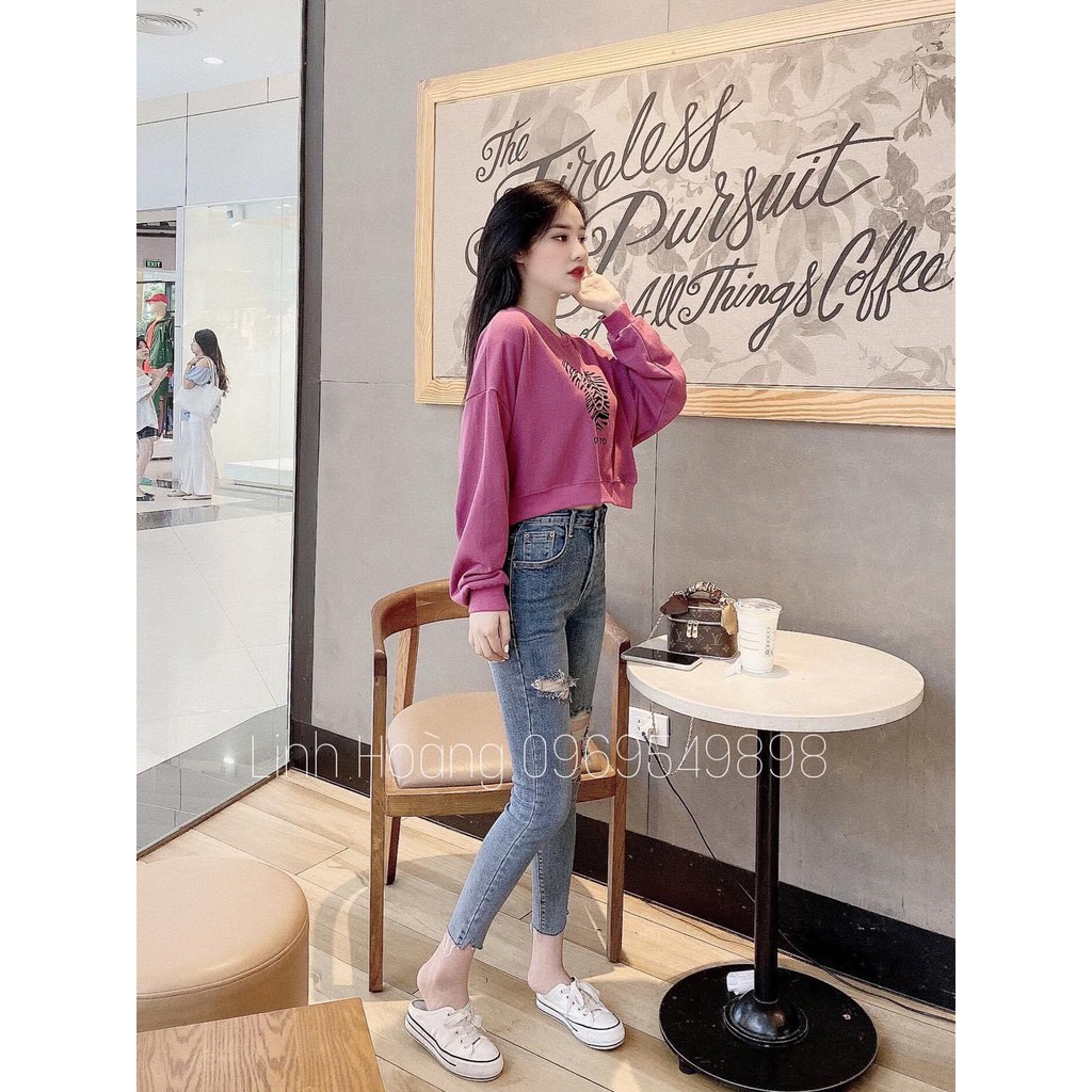ÁO NỈ HỒNG HÌNH DÂY XÍCH | BigBuy360 - bigbuy360.vn