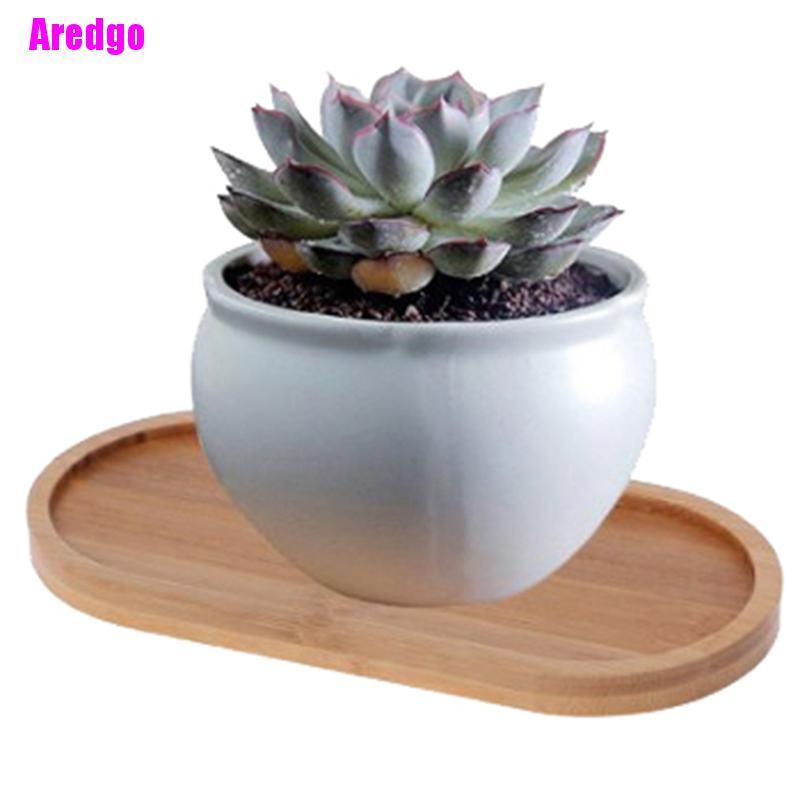 Đĩa Tre Hình Tròn / Vuông Chuyên Dụng Cho Trồng Cây