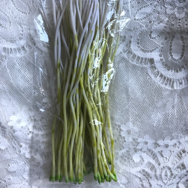 Rễ cắm trang trí