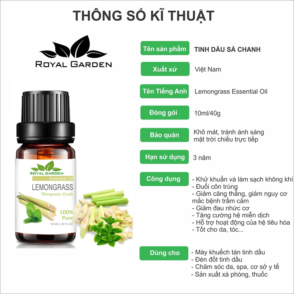 Tinh dầu 50ml Bạc Hà Peppermint - Triết xuất thiên nhiên 100% nhập khẩu Ấn Độ