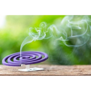 Nhang muỗi Raid hương Lavender (10 khoanh)