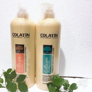 cặp dầu gội Colatin