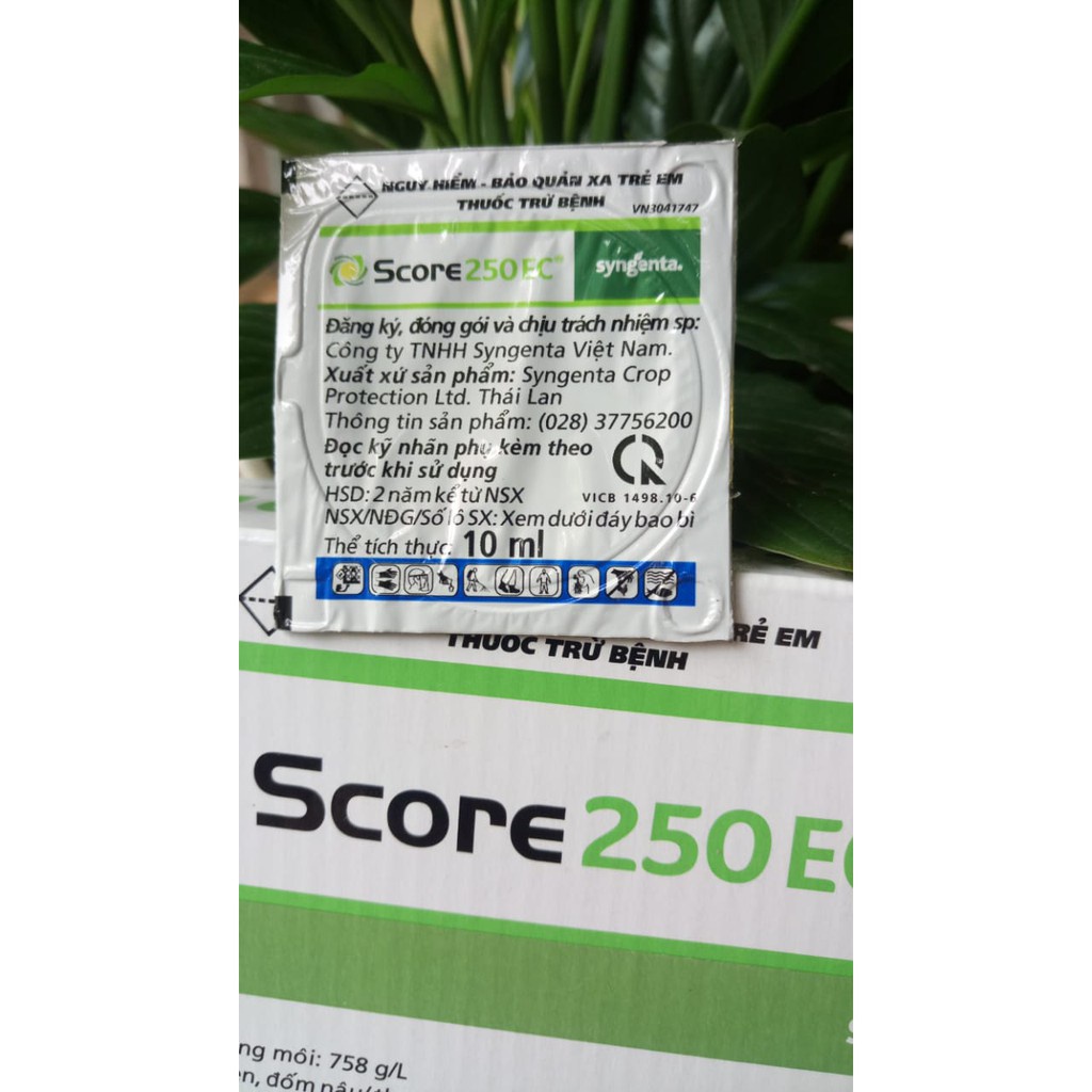 [SIEURE] 250EC- Thuốc đặc trị nấm, phấn trắng, mốc sương cho cây trồng hàng đẹp, phân phối chuyên nghiệp.
