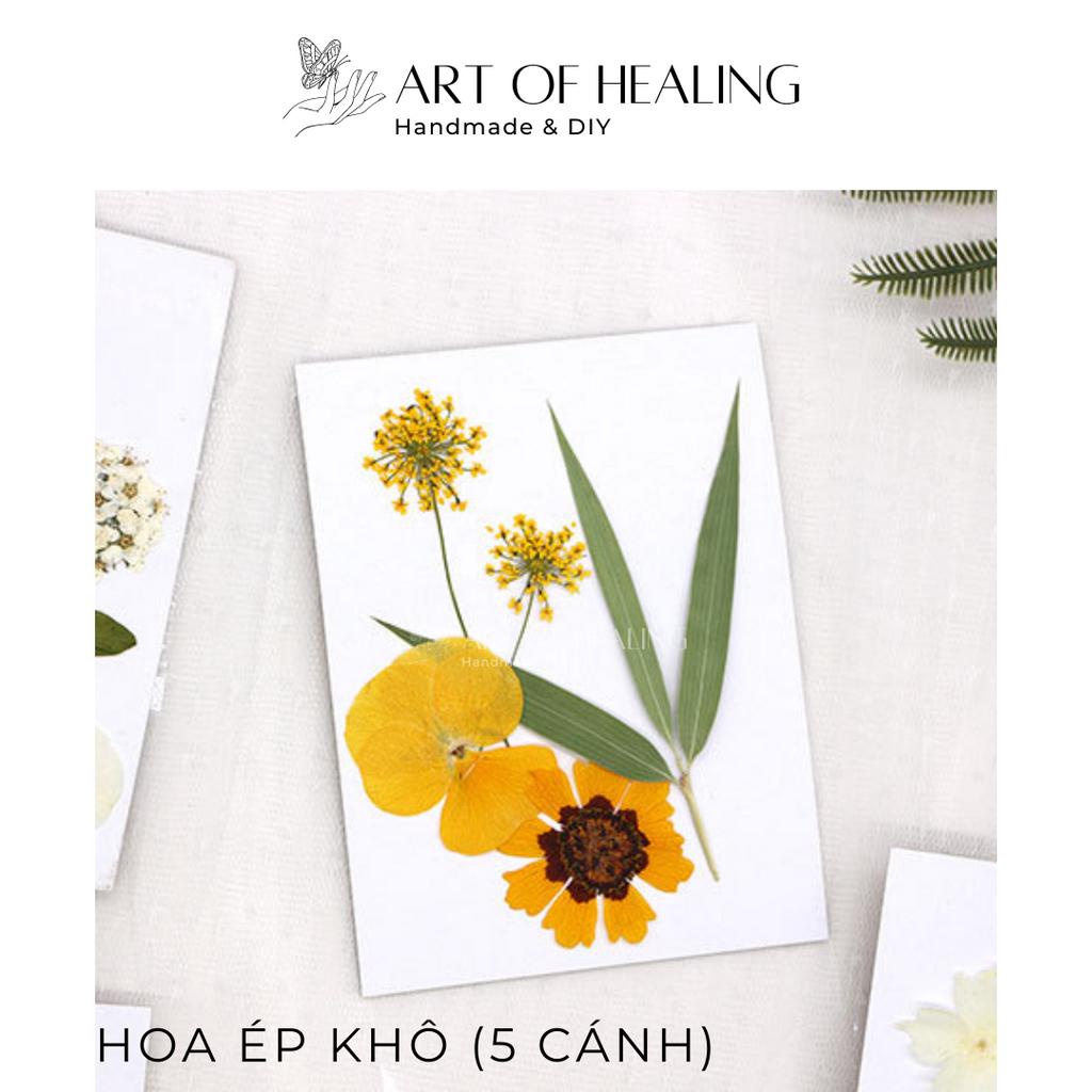 Set hoa ép khô các loại trang trí nến, resin, sổ tay, decor - 5 cánh  - Handmade & DIY