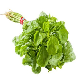 Hạt Giống Rau Dền