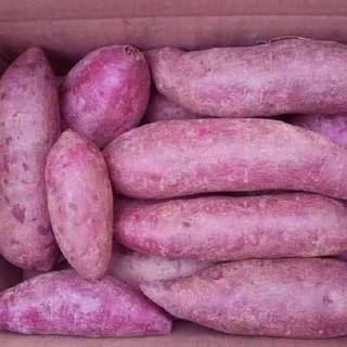 1KG BỘT KHOAI LANG TÍM