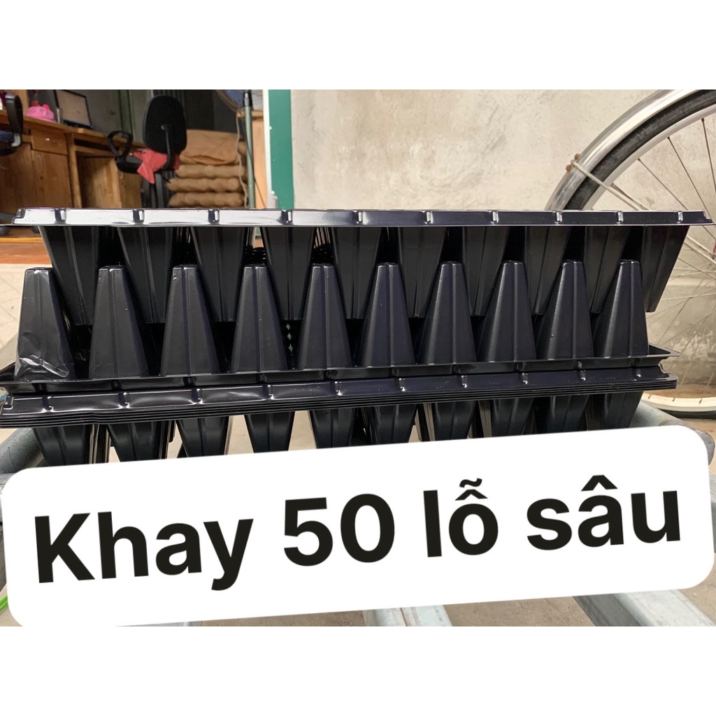 COMBO 5 KHAY ƯƠM 50 LỖ SÂU(KEO LIỀN SẸO, DỊCH TRUYỀN CHO CÂY, VIÊN NÉN XƠ DỪA)