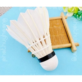 Quả cầu lông đánh vợt