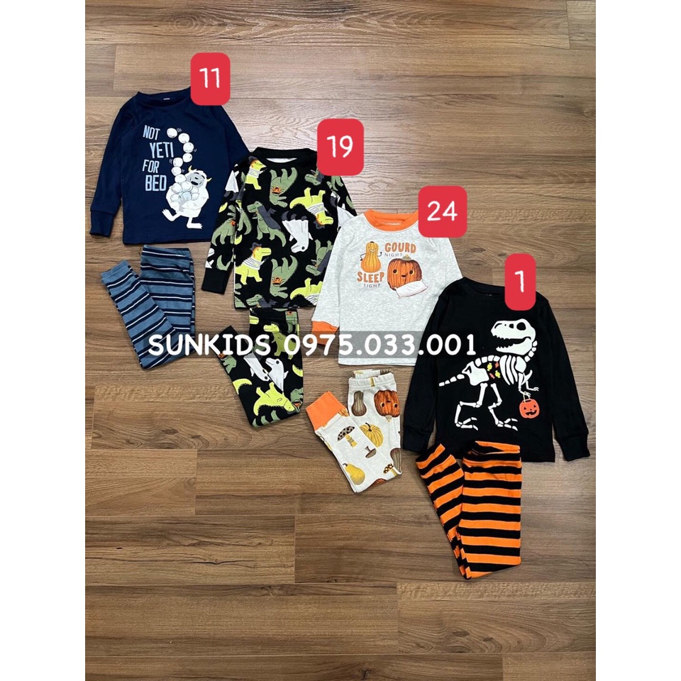 Bộ thu đông cotton bé trai (2)