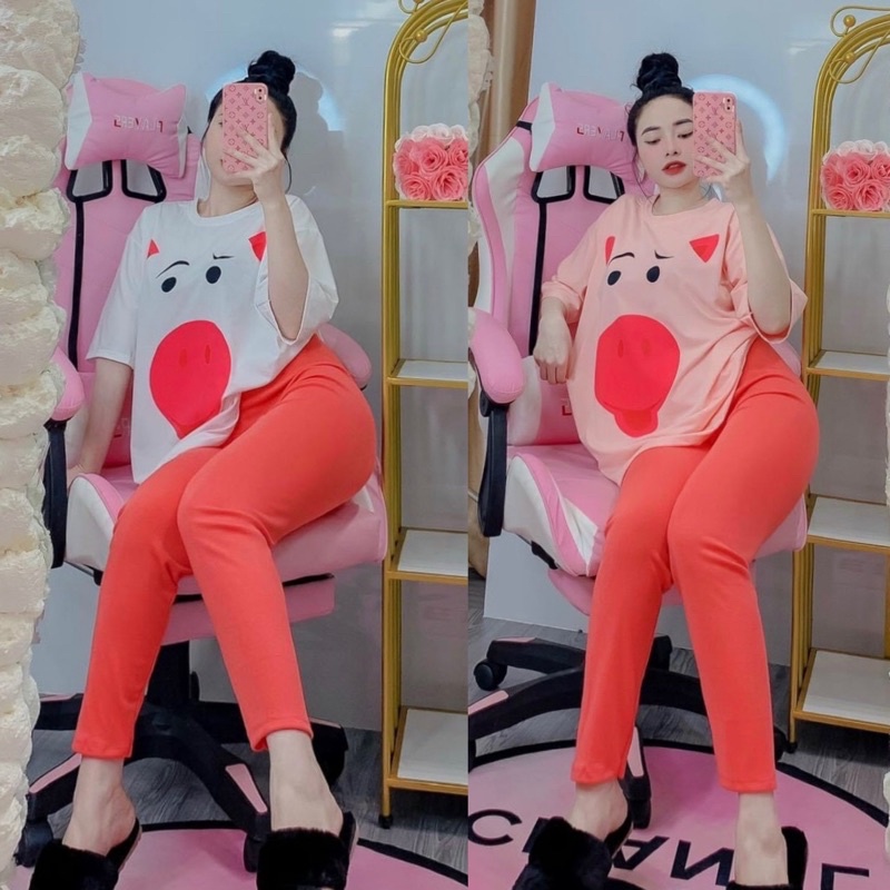 Set Bộ Đồ Nữ Áo Thun Heo + Quần Legging Dài [ Kèm Video]