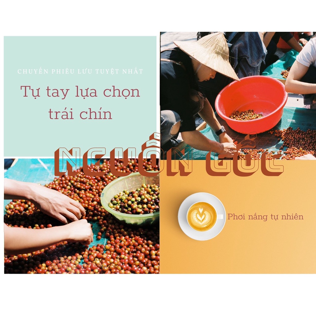 Decaf - Cà Phê Khử Caffeine | BigBuy360 - bigbuy360.vn