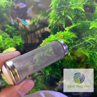 Bịt tép inox