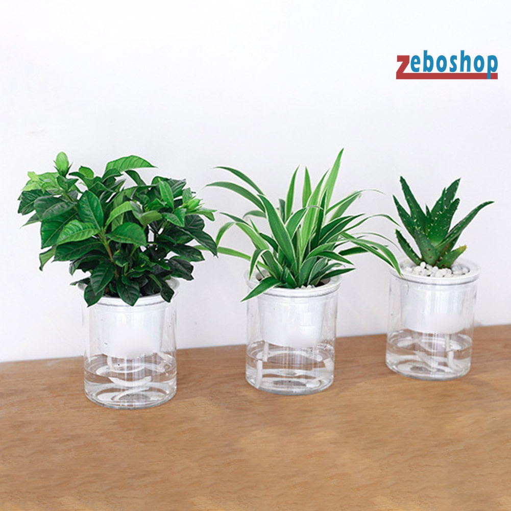 Chậu Hoa Hấp Thụ Nước Tự Động Bằng Resin Resin