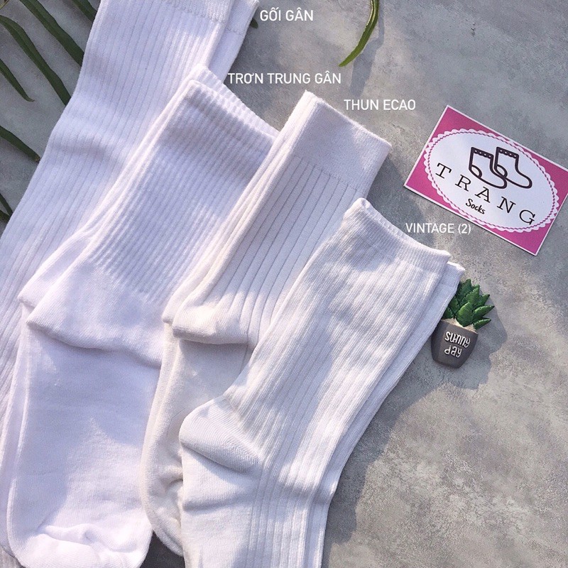 Tất trơn tone màu trắng  - Trangsocks