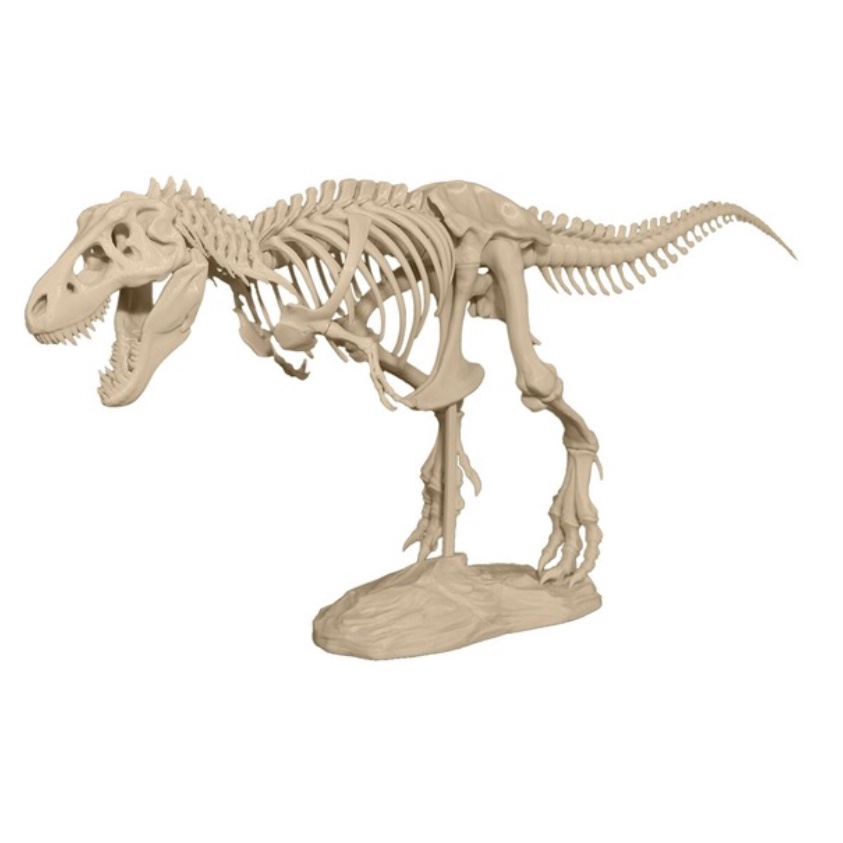 Mô hình xương khủng long in 3D RESIN tự lắp ráp