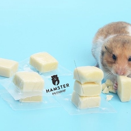 Phô mai mềm, cheese, thơm cho hamster, Guinea Pig (bọ ú, chuột lang), thỏ, sóc bắc mỹ, chinchilla