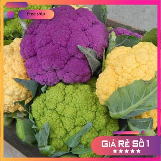 Hạt giống Súp lơ nhiều màu (10 hạt)