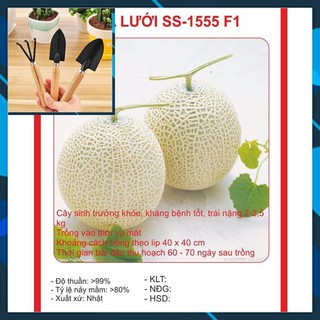 Hạt giống Dưa Lưới Tròn 10 Hạt TẶNG BỘ LÀM VƯƠN MINI
