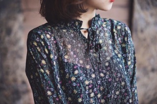 BLouse Top