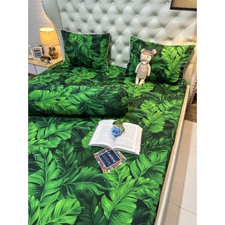 BỘ DRAP THUN SIÊU LẠNH LỤA LATICO THÁI LAN CAO CẤP MỚI (ÔM KHOÁ KÉO)