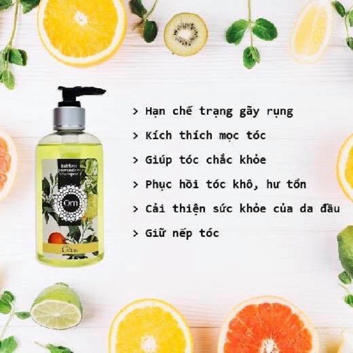 Dầu gội trị rụng và kích mọc tóc [CÓ TEM CHỐNG HÀNG GIẢ] | BigBuy360 - bigbuy360.vn