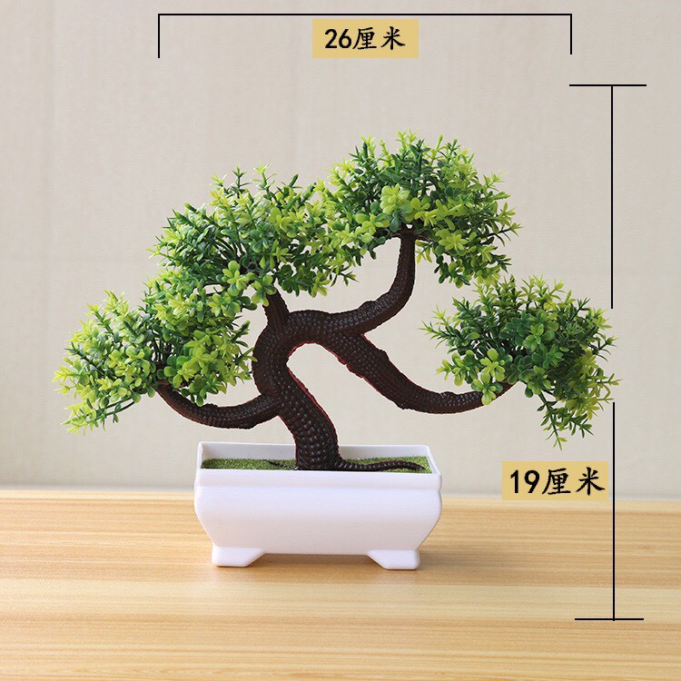 Cây giả, chậu cây tùng bonsai thế phượng vũ độc đáo trang trí nhà cửa
