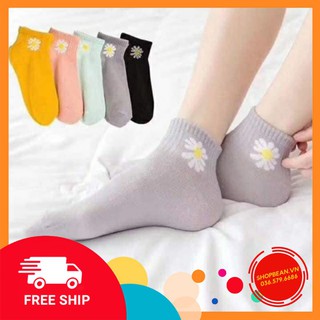 Freeship - hàng đẹp loại 1 tất hoa cúc set 10 đôi tất hottrend 2020