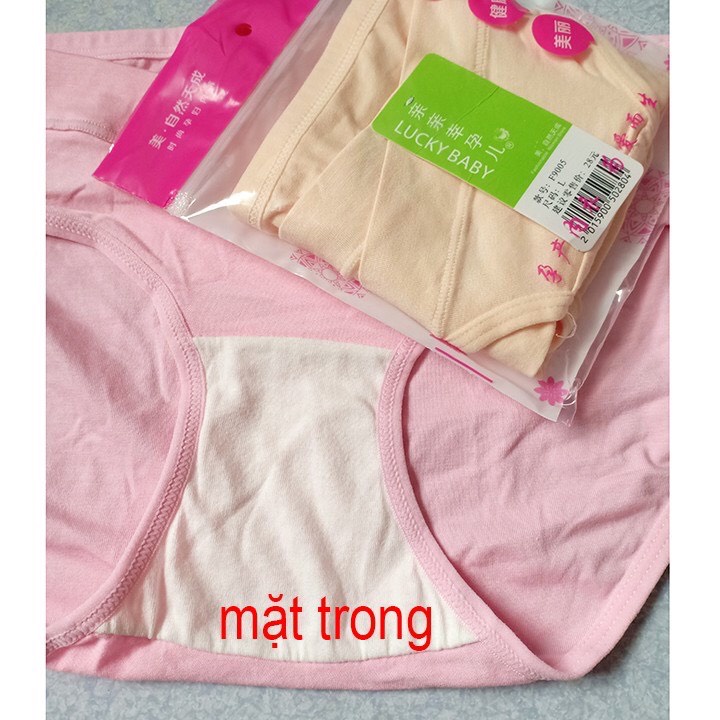 Quần Lót Bầu Cạp Chéo Cotton Đẹp Mát (size L,XL,XXL)