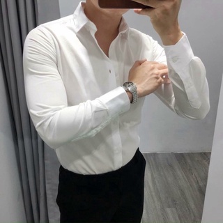 Áo sơ mi trắng cao cấp vnxk, vải lụa nến,không nhăn