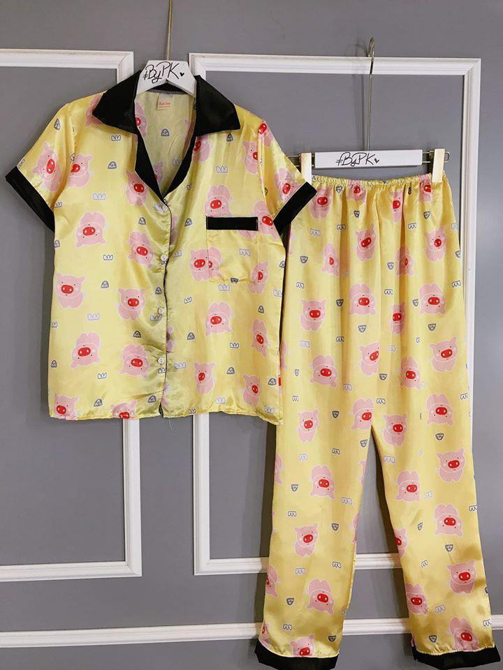 GIAO ĐÚNG MẪU  Đồ Bộ Pijama Phi Bóng Tay Ngắn Quần Dài Dưới 55Kg