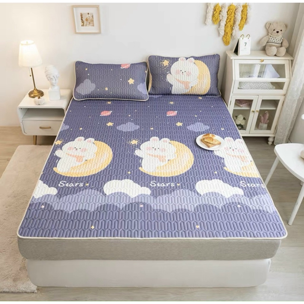Chiếu điều hòa cao su non tencel 2D nhập khẩu, Chất liệu tencel và mủ cao su thoáng mát tặng kèm 2 vỏ gối đủ size nệm