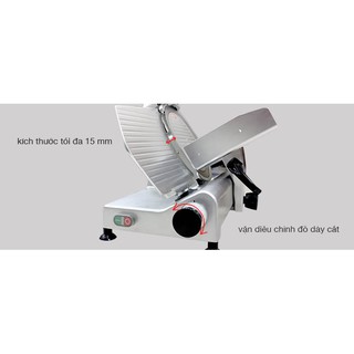Máy thái thịt chín, thịt đông lạnh 300ES