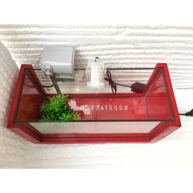 Bể cá khung gỗ cỡ lớn. ( 40cm)