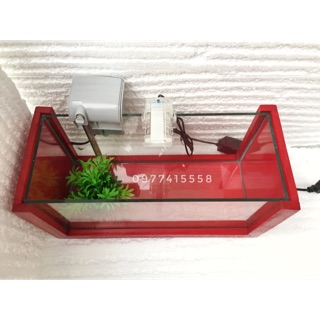 Bể cá khung gỗ cỡ lớn. ( 40cm)
