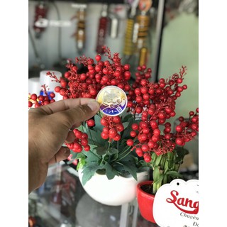 tem titan mèo thần tài
