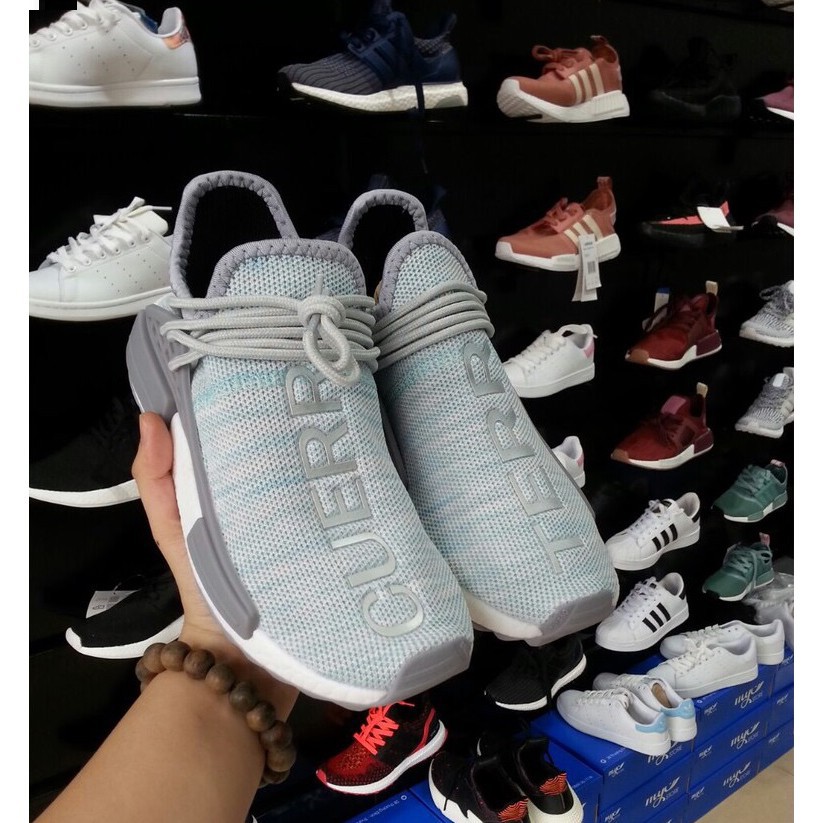 cuerpo terre human race