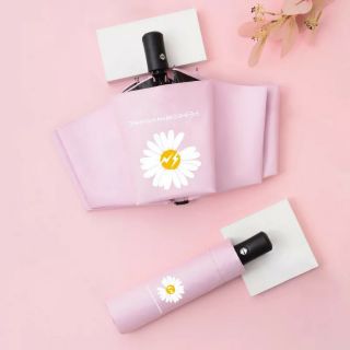 Ô dù HOA CÚC đóng mở tự động