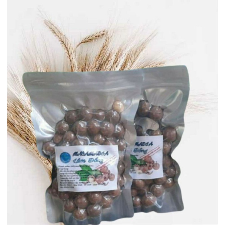 [Mã 11FMCGSALE giảm 8% đơn 500K] 500g macca sạch Lâm Đồng organic _ mắc ca sấy [size nhỏ]