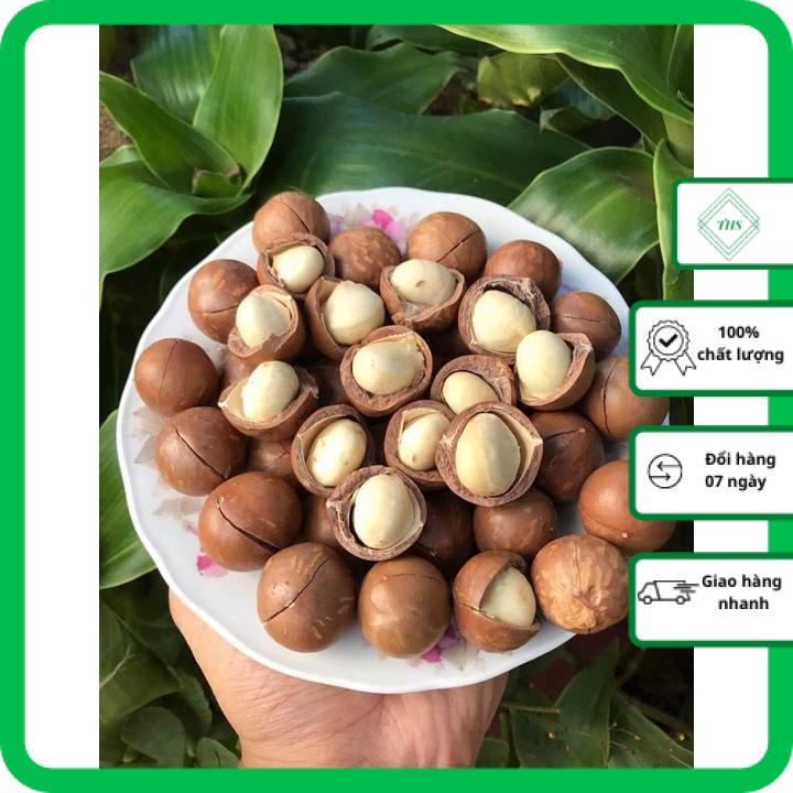 [Ảnh thật]  Hạt Macca Siêu Dinh Dưỡng - Sạch Ngon Bổ Dưỡng - Hộp 500gram [Có bảo hành]