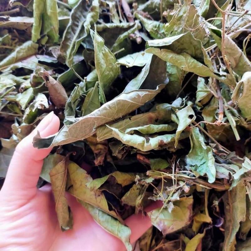 1kg lá Xạ đen Hoà Bình🌸Mát gan, tiêu hạch