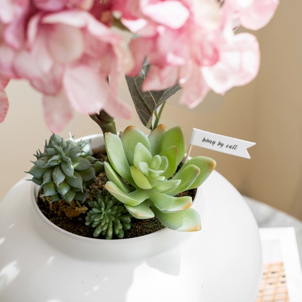 Chậu cây mini để bàn decor trang trí nội thất nhà cửa phong cách Hàn Quốc mang thương hiệu BÔNG BY CATT