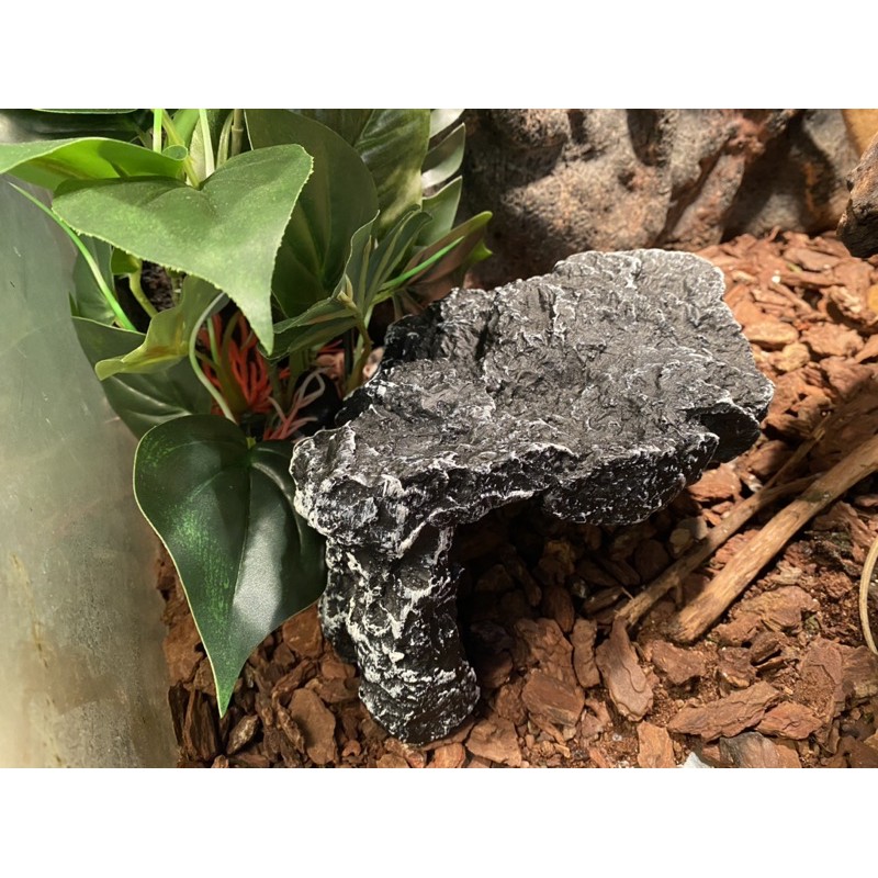 Hang trú Lion cho bò sát - Hang trú giả đá cho rùa, bò sát, trăn rắn cảnh nhiều kích cỡ