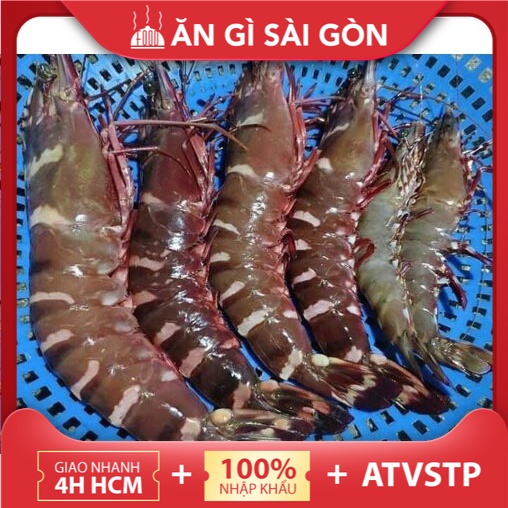 Tôm sú biển Cà Mau tươi ngon, size đặc biệt to 6-7con kg