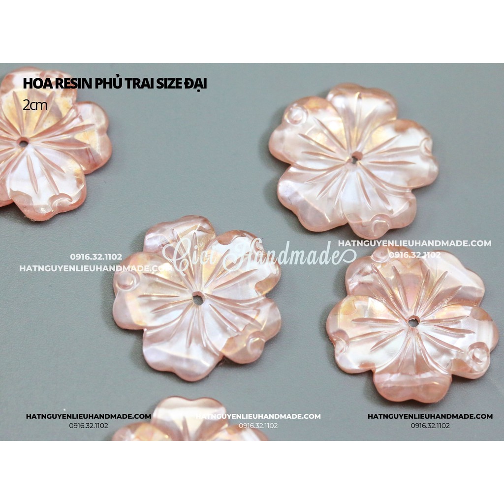 túi 5 Hoa resin phủ trai size 2 cm nguyên liệu hoa tai DIY